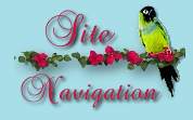 Site Navigation